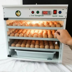 Incubadora Ecochocadeiras 600 Ovos Codornas E 303 Galinha