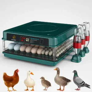 Chocadeira Para Ovos Incubadora Automática
